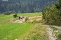 098 Na Litwińską Górę